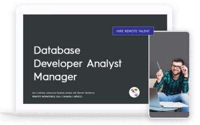 Database Developer Analyst Manager