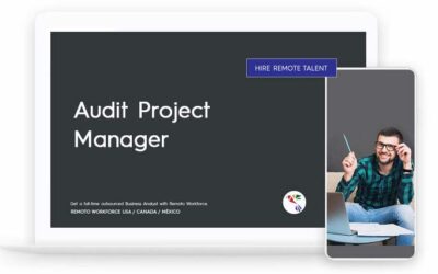 Audit Project Manager