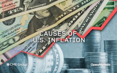 Economist Perspective: Causes of U.S. Inflation