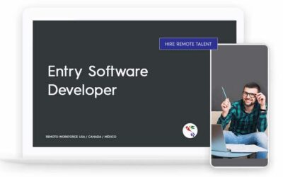 Entry Software Developer