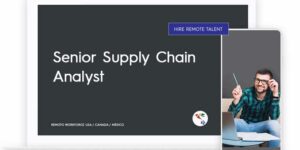 Senior Supply Chain Analyst Role Description