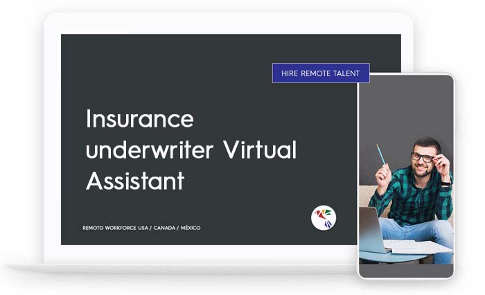 Insurance underwriter Virtual Assistant Role Description
